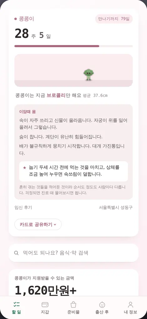 처음부모 주차와 몸 화면
